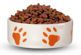 dog food plate